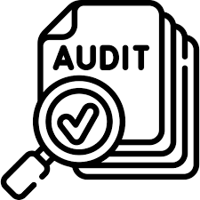 Audit Image